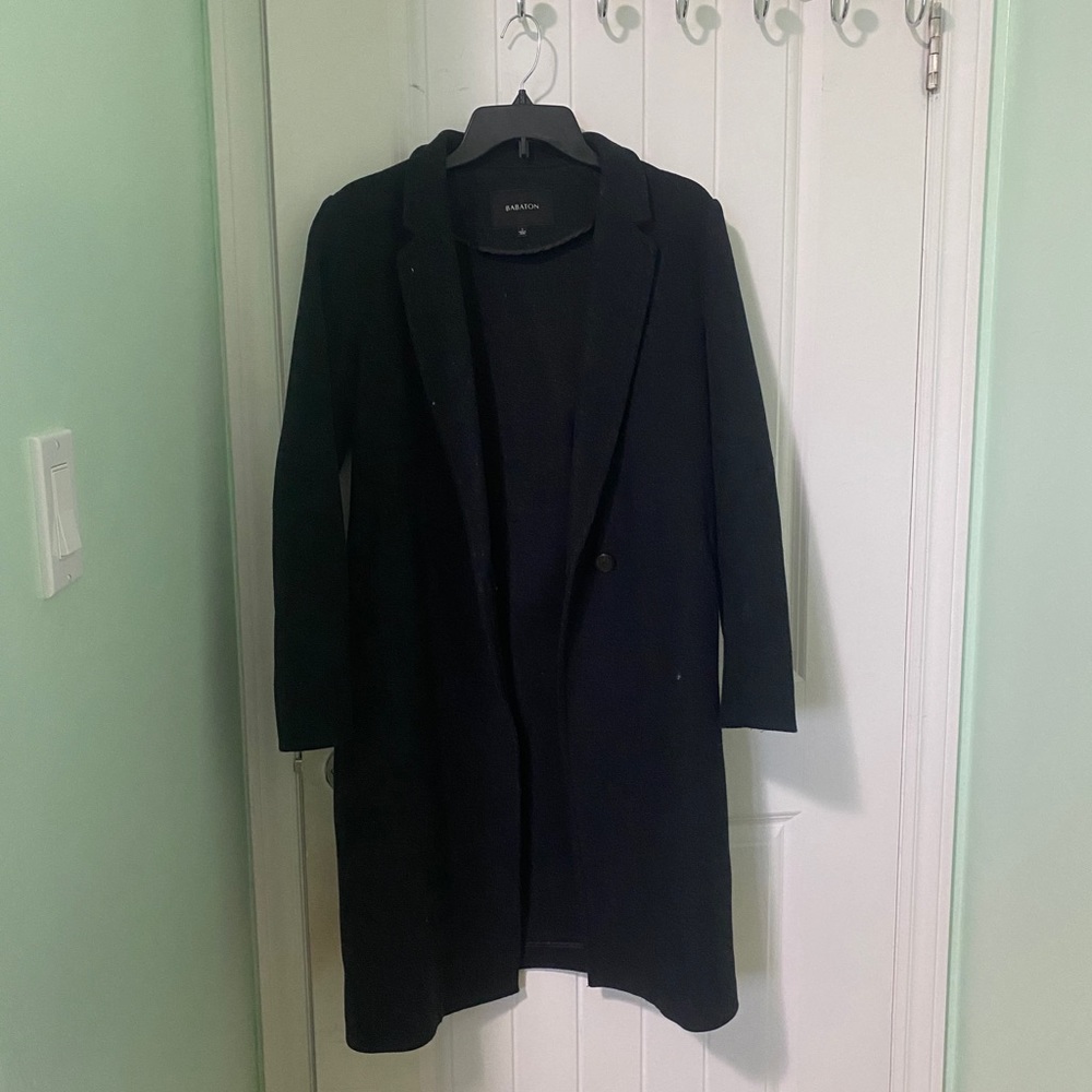 Aritzia Babaton Stedman Coat
